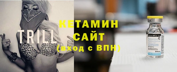 прущие грибы Гусиноозёрск
