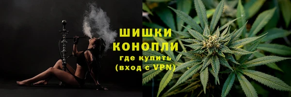 трава Вязьма
