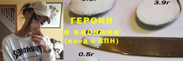 прущие грибы Гусиноозёрск
