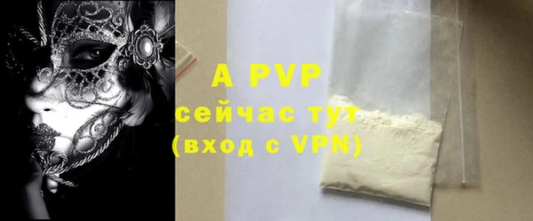 прущие грибы Гусиноозёрск