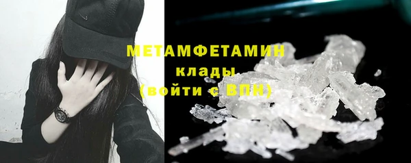 прущие грибы Гусиноозёрск