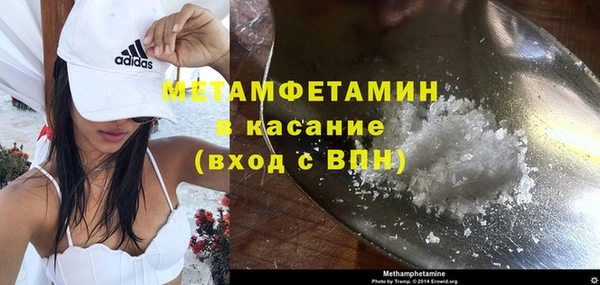 прущие грибы Гусиноозёрск