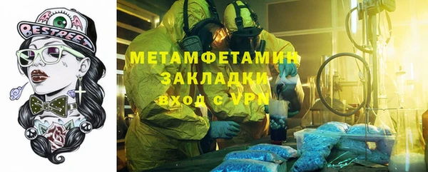 прущие грибы Гусиноозёрск