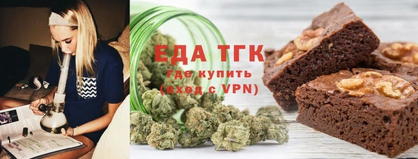 прущие грибы Гусиноозёрск