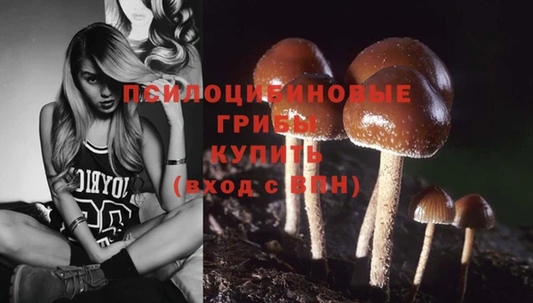 соль курить ск Гусь-Хрустальный