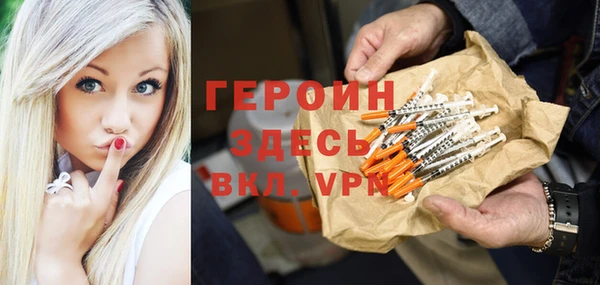 прущие грибы Гусиноозёрск