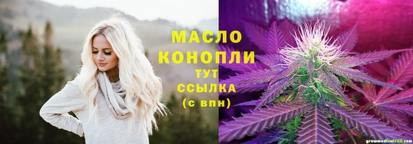 гидра Вязники