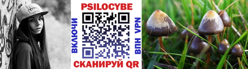 Псилоцибиновые грибы прущие грибы  Купить закладки  Мамоново 