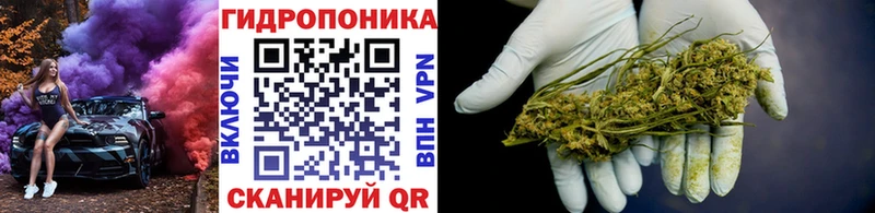 Купить закладки  Мамоново  МАРИХУАНА THC 21% 